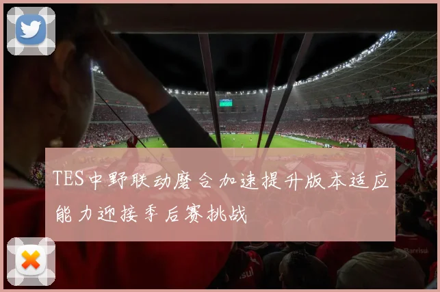 TES中野联动磨合加速提升版本适应能力迎接季后赛挑战