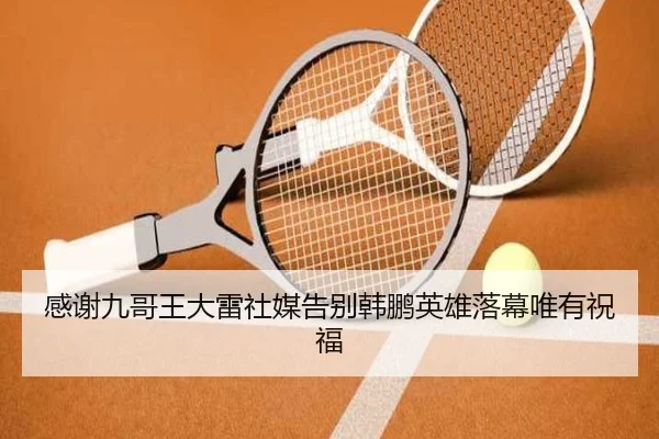 感谢九哥王大雷社媒告别韩鹏英雄落幕唯有祝福