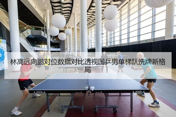 林高远向鹏对位数据对比透视国乒男单梯队洗牌新格局